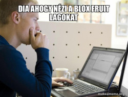 Programmer