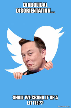 Elon Musk Twitter