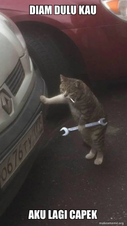 Mechanic Cat