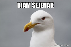 Stuff That Didn't Happen Seagull