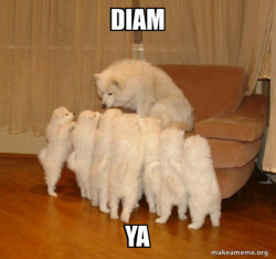 Storytelling Dog