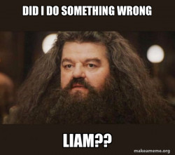 Hagrid - I should not have said that