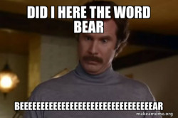 when you here the word bear