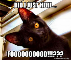 Overly Attached Cat