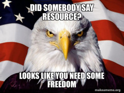 American Pride Eagle