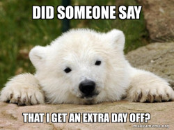 Popular Opinion Bear