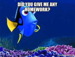 Dory from Nemo  (5 second memory)