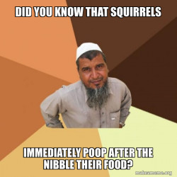 Ordinary Muslim Man