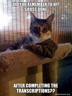 The Most Interesting Cat in the World