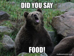 Sarcastic Bear