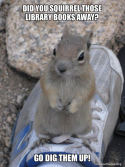 Standover Squirrel