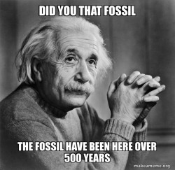 Serious Albert Einstein