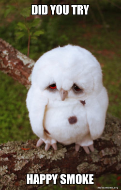 Sad Owl