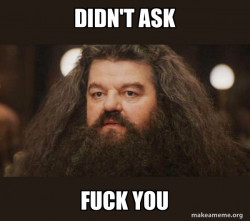 Hagrid - I should not have said that