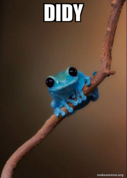 Small Fact Frog