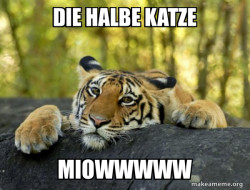 Confession Tiger
