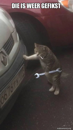 Mechanic Cat