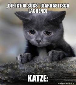 Confession Cat