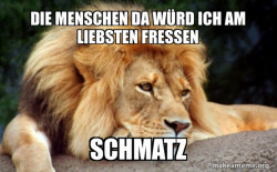 Confession Lion