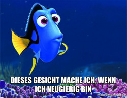 Dory from Nemo  (5 second memory)