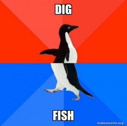 Socially Awesome Awkward Penguin