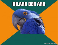 Paranoid Parrot