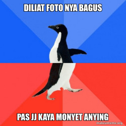Socially Awkward Awesome Penguin