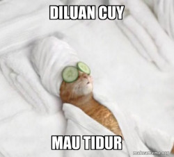 Pampered Cat Meme