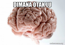 Scumbag Brain