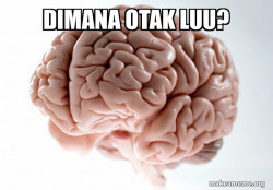 Scumbag Brain