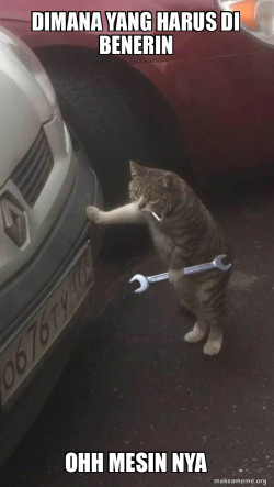 Mechanic Cat