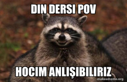 Evil Plotting Raccoon