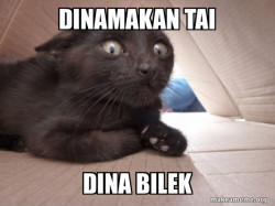 Terkejut
