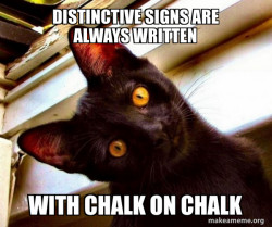 Overly Attached Cat