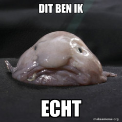 Blobfish