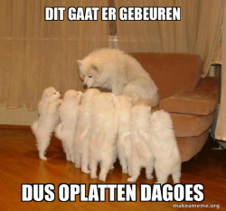 Storytelling Dog