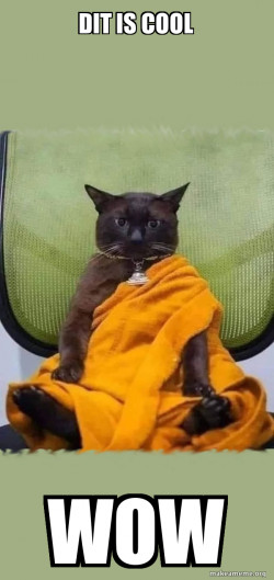 Zen Cat