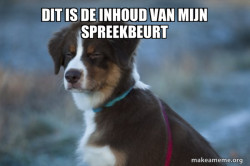 Unsure Dog
