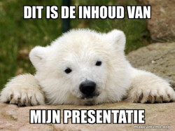 preppy bear