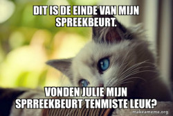 First World Cat Problems