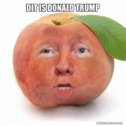Impeached Donald Trump