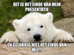Popular Opinion Bear