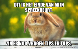 Regretful Rabbit