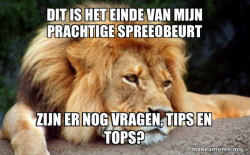 Confession Lion