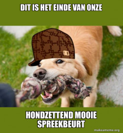 Scumbag dog