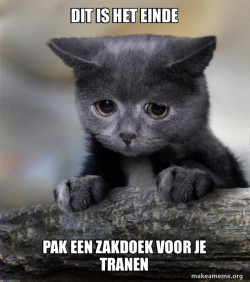 Confession Cat