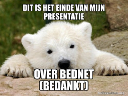 Popular Opinion Bear