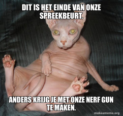 Hairless Cat