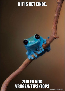 Small Fact Frog