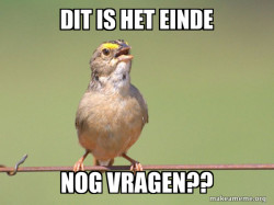 Common Opinion Sparrow